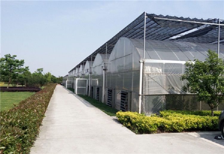 智能连栋温室 连栋薄膜温室价格合理设计新颖