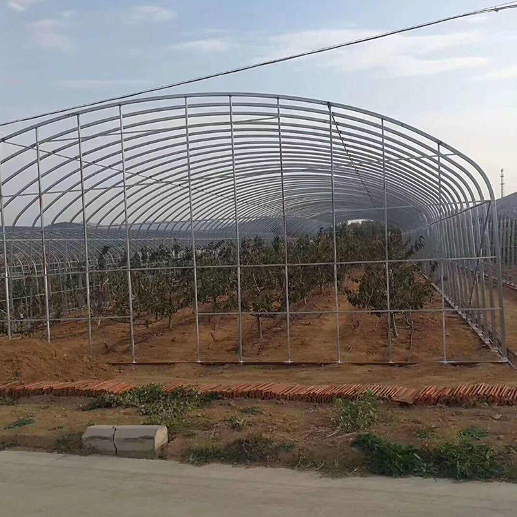温室大棚_新型温室造价_连体温室大棚_厂家供应