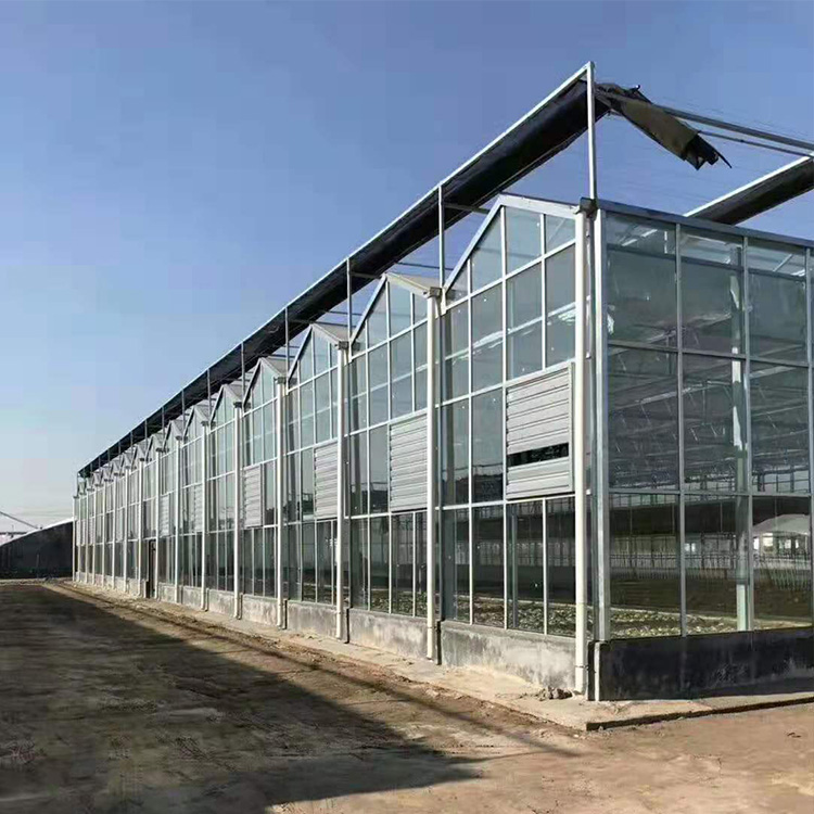 玻璃温室_玻璃温室大棚专业建设 承接温室大棚建设
