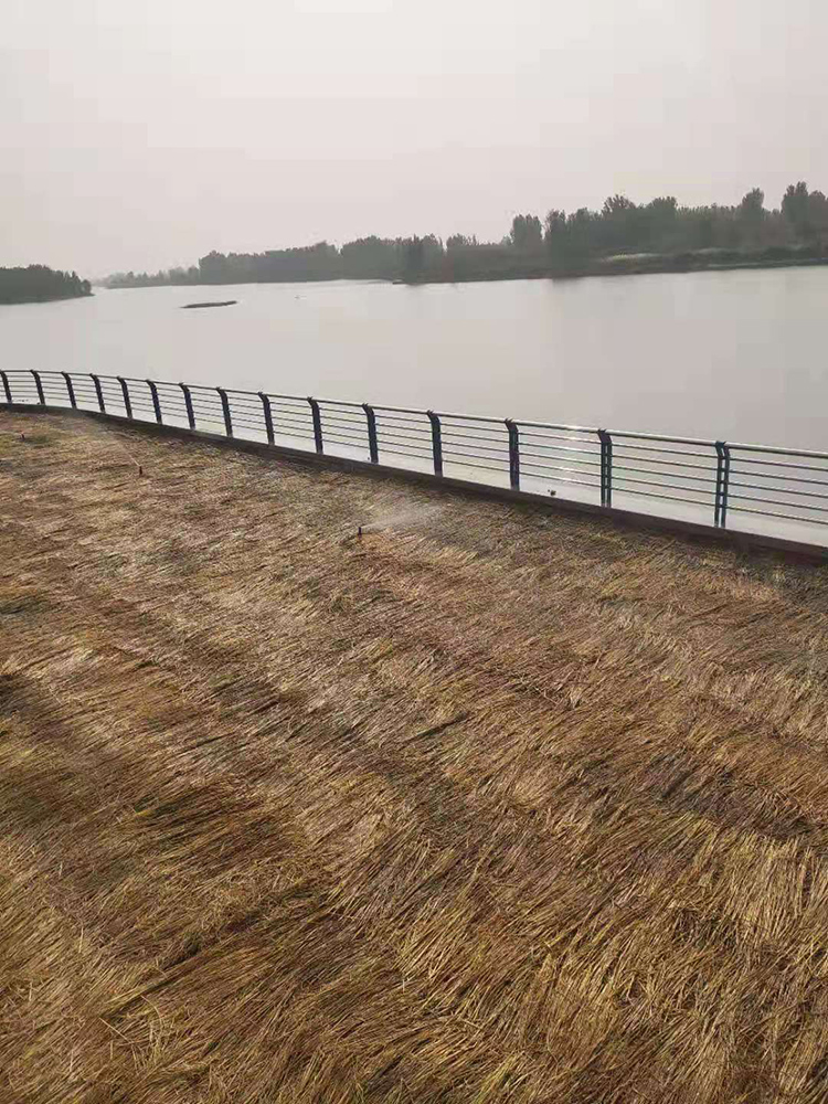 桥梁防护栏杆 桥梁防撞栏杆 桥梁栏杆厂家 桥梁护栏直销