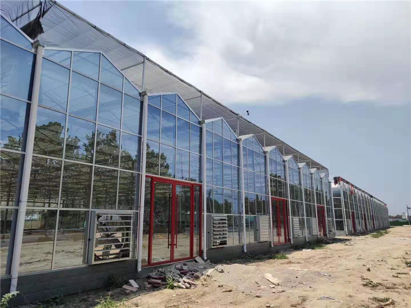 山东青州连栋温室大棚工程 可按需定制 结构稳定 欢迎咨询