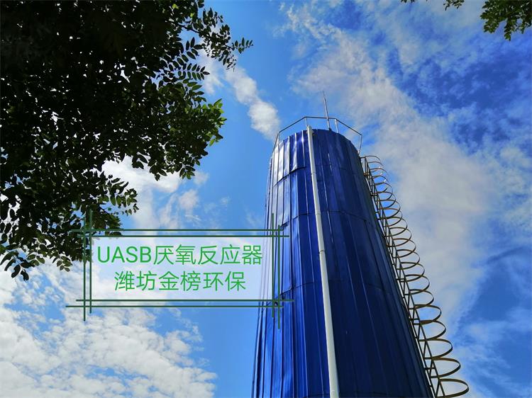 UASB,IC,EGSB厌氧塔鸡肉猪肉牛肉加工污水处理设备