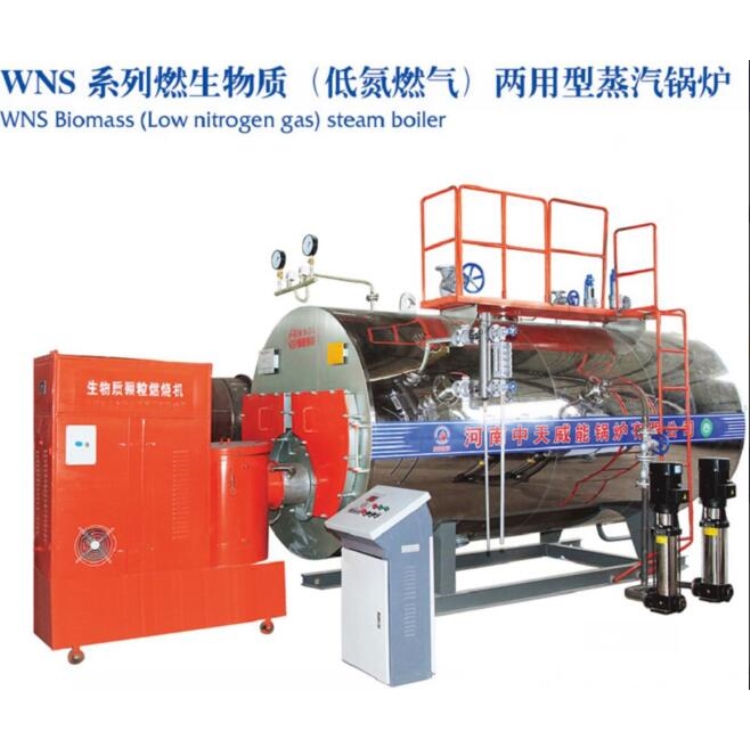 生物质燃气两用锅炉厂家_威能菊花烘干两用锅炉