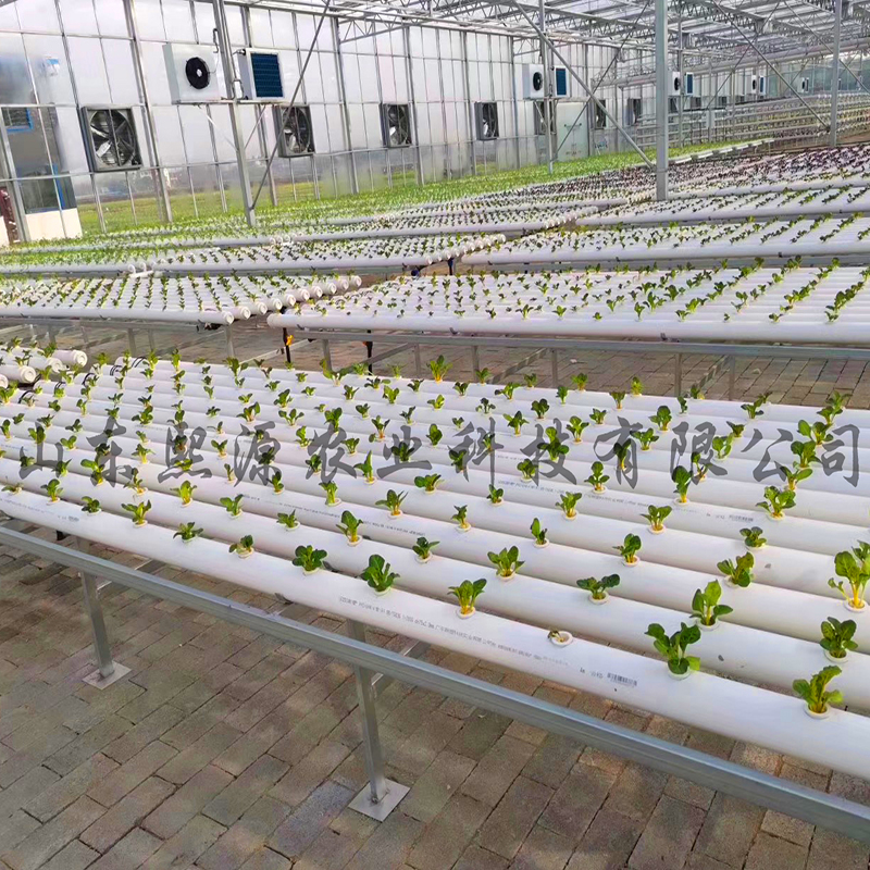 平铺式水培种植 苗床式水培 营养液水培蔬菜种植 无土栽培设备批发