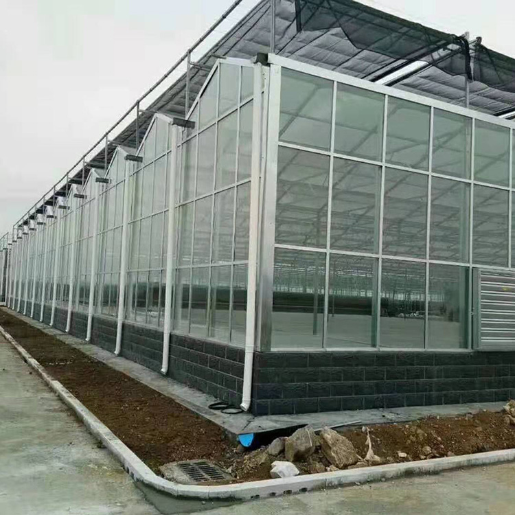 玻璃温室_智能玻璃温室大棚建设_值得信赖