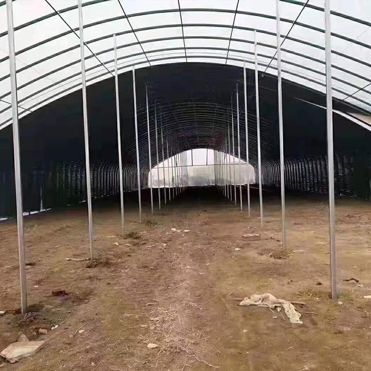 新型温室大棚厂家直销盛之翔温室专业建造