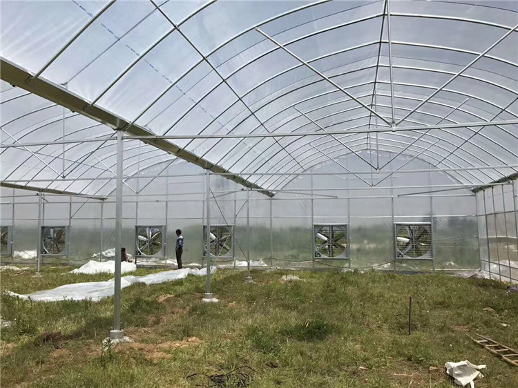 薄膜温室大棚 薄膜温室大棚建设 青州温室大棚公司