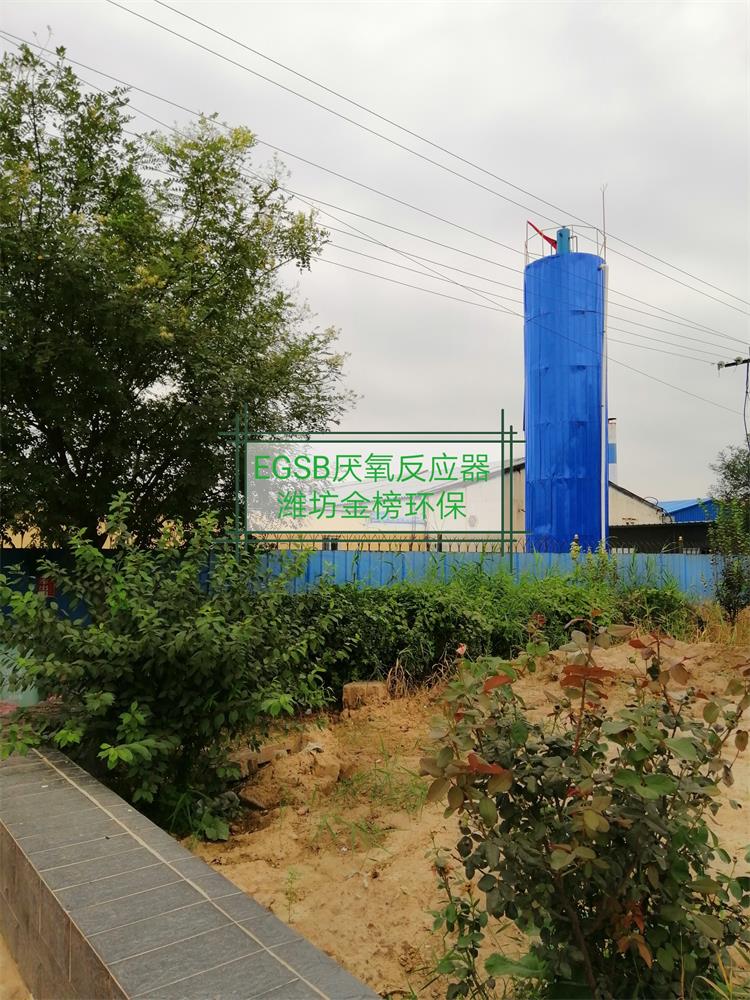 粉条污水处理设备厌氧生物分解法EGSB厌氧反应塔