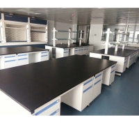 实验室工作台钢木结构中央实验桌 实验室操作台 钢木实验边台