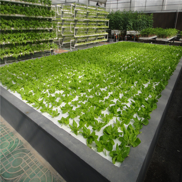 草莓蔬菜种植架 无土栽培 水培蔬菜营养土种植设备漂浮板支架栽培