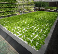 草莓蔬菜种植架 无土栽培 水培蔬菜营养土种植设备漂浮板支架栽培