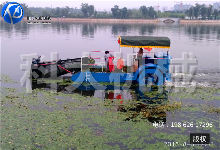 水草打捞船供应商 治理水生单子叶植物保洁船
