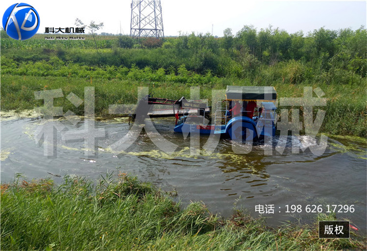 清漂船的性能 打捞船厂家 收割船定制
