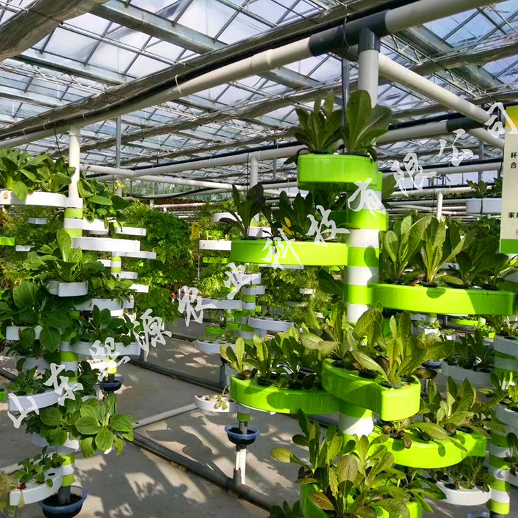 水生植物 无土栽培景观设计 温室无土栽培蔬菜 无土栽培厂家供应