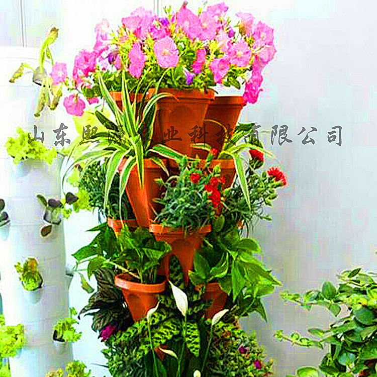 有机无土栽培技术 花卉无土栽培 家用无土栽培技术 基质土种植