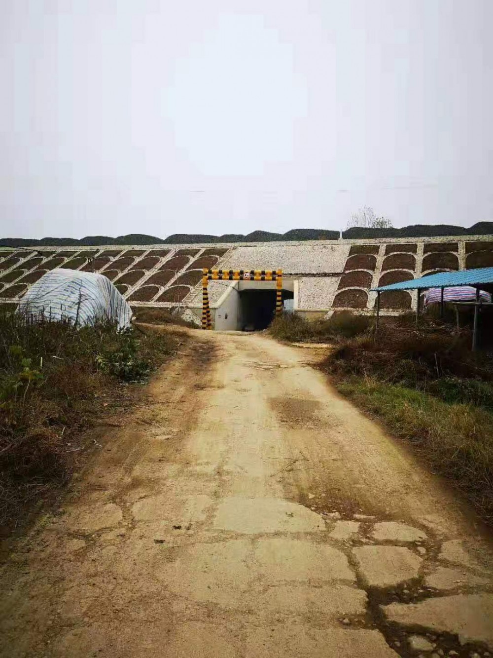 专业混凝土路面修补料
