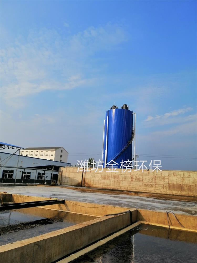 EGSB厌氧反应器淀粉污水处理设备