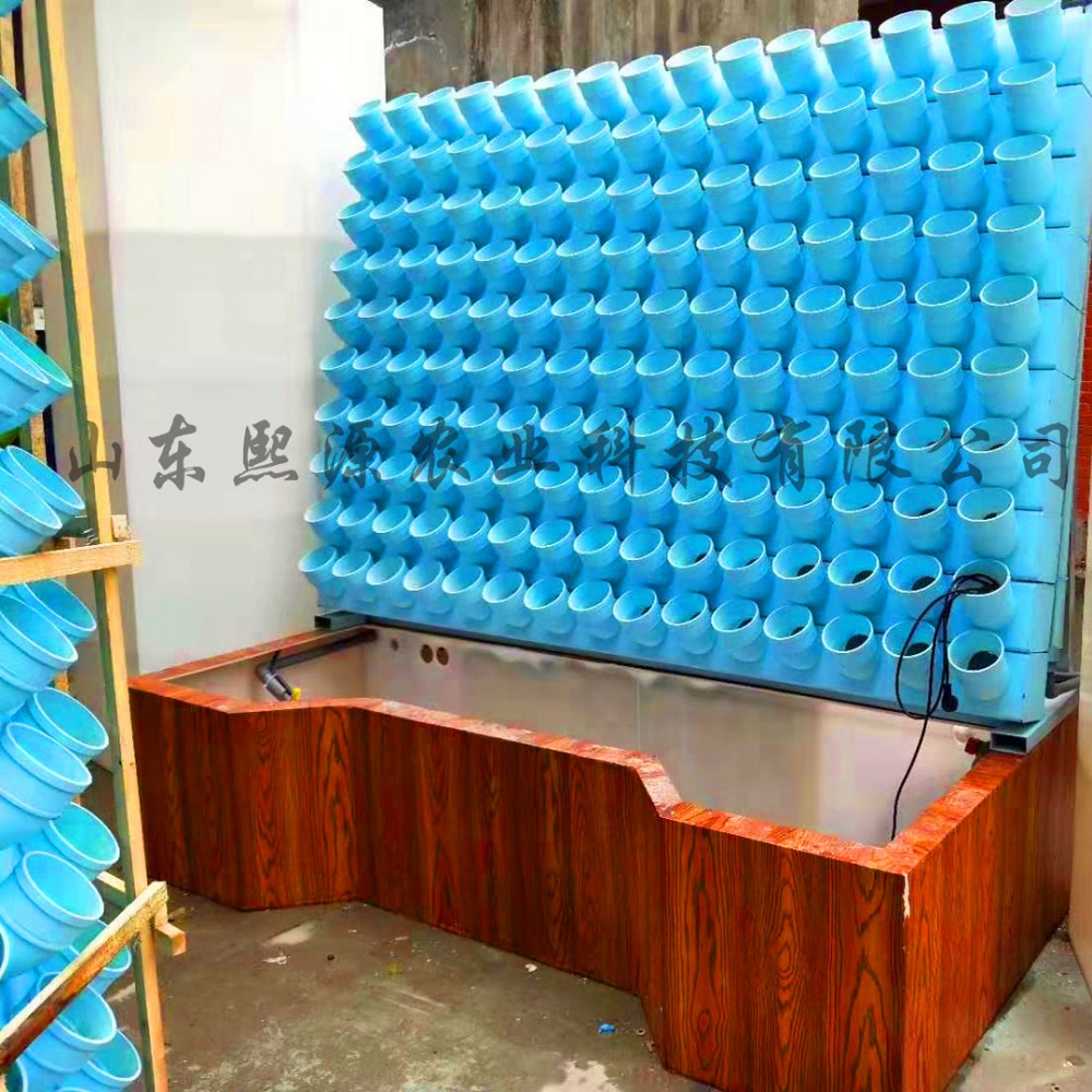 鱼菜共生无土栽培模式 叶菜无土栽培 营养液水培无土栽培