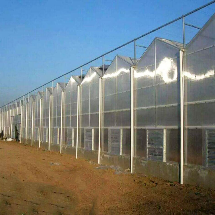 称心的阳光板温室大棚建造商 温室大棚供应推荐