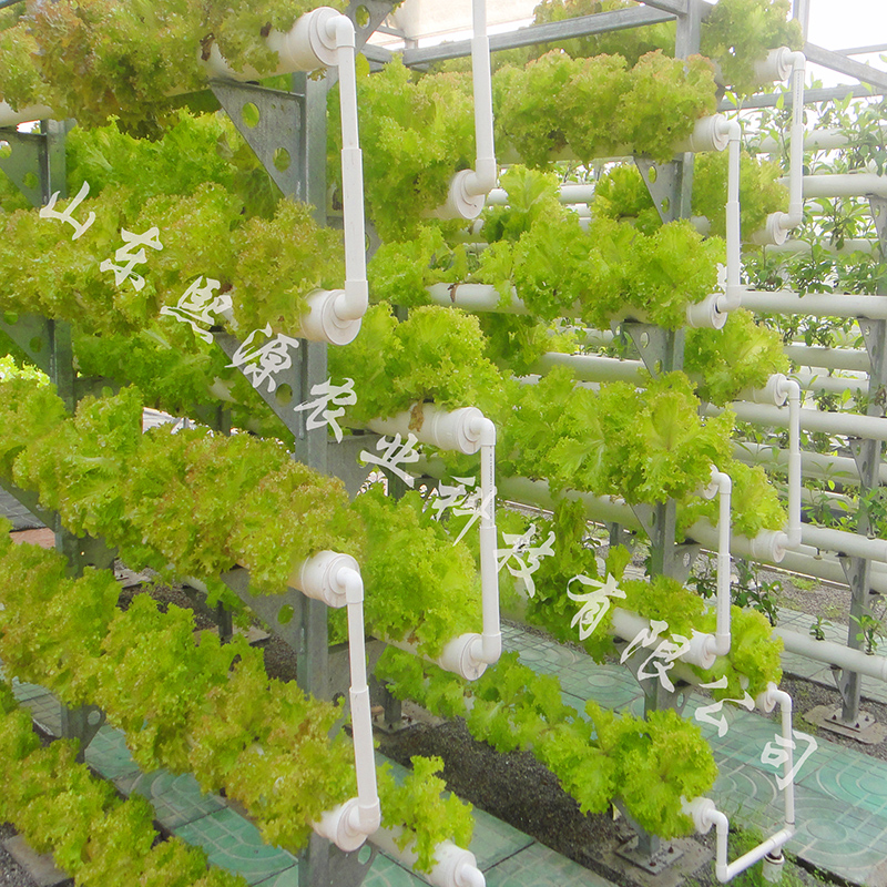 错层式水培种植 无土栽培厂家 水培蔬菜技术 营养液水培蔬菜