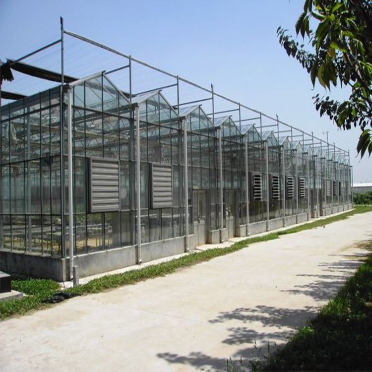连栋玻璃温室大棚建设