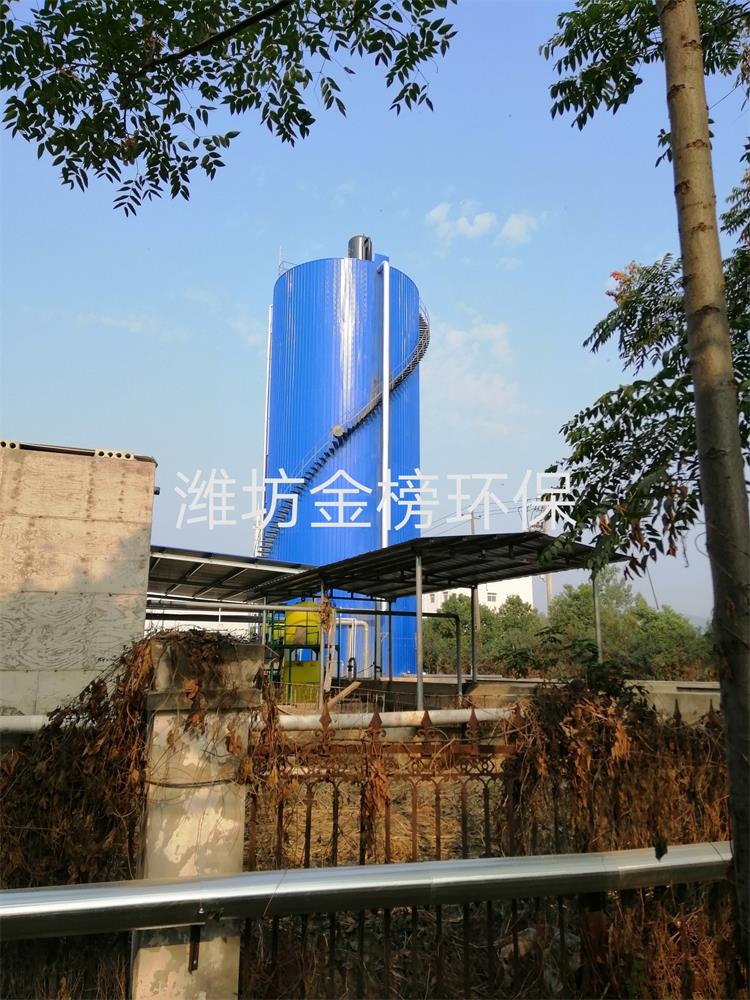 花生加工泡花生污水处理设备UASBICEGSB厌氧反应塔