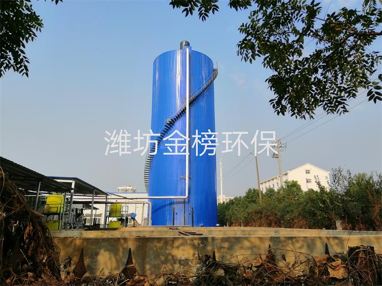 坚果浸泡污水处理设备厌氧生化法IC厌氧反应器