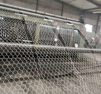 石笼网 雷诺护垫 包塑石笼网 石笼网厂家  石笼网价格