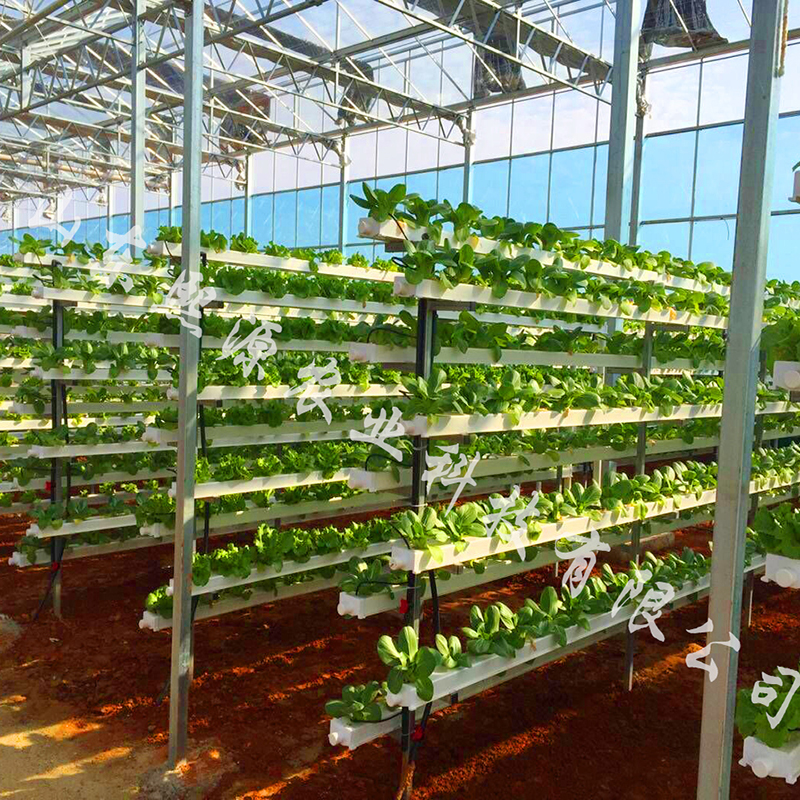 无土栽培错层水培 营养液无土栽培 水培蔬菜技术 厂家直销设备供应