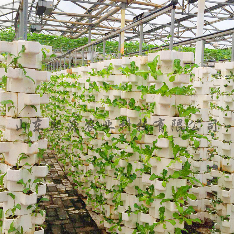 泡沫立柱种植 无土栽培厂家供应 基质土种植 有机蔬菜种植