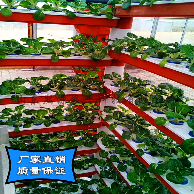 漏窗式水培无土栽培 营养液无土栽培蔬菜种植 立体水培种植 厂家供应