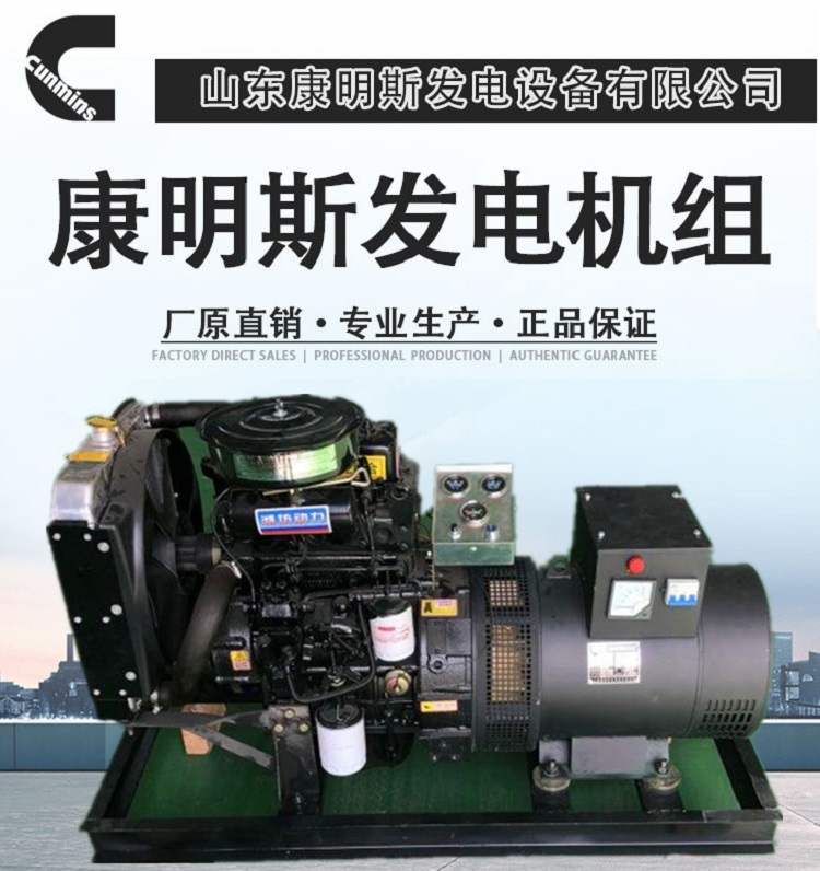 潍坊双缸柴油发电机组厂家【推荐】山东康明斯 20kw双缸发电机供应
