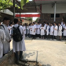 优质正宗土鸡销售  广汉土鸡苗批发 土鸡苗请选购正宗养殖基地