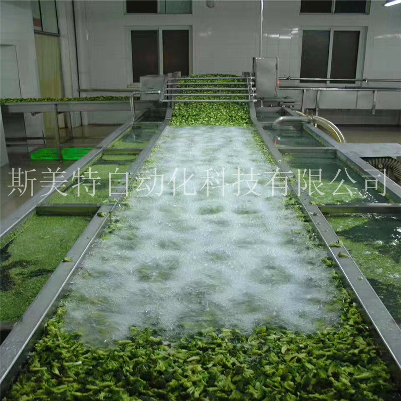 厂家热销蔬菜清洗机 韭菜气泡清洗机 菠菜清洗机 果蔬清洗设备