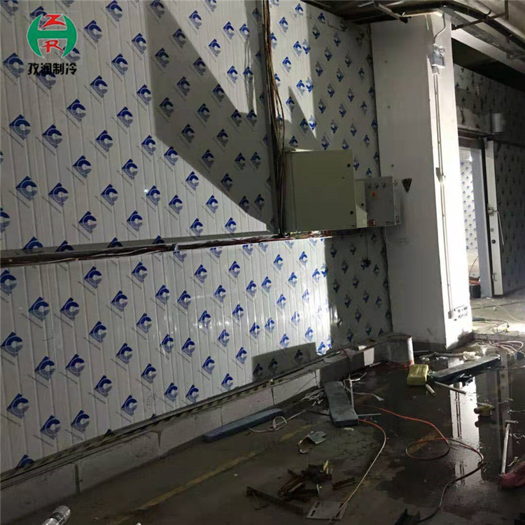 冷库建造工程 小型冷库安装设计 冷库制造厂家