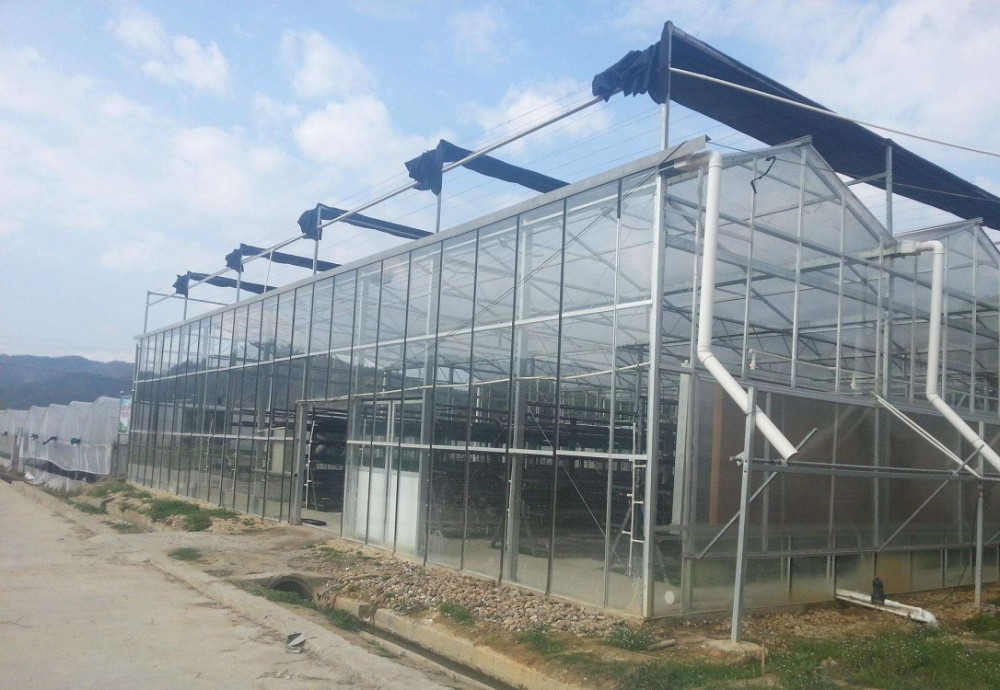 玻璃温室大棚建造商_建设公司_报价_金和温室
