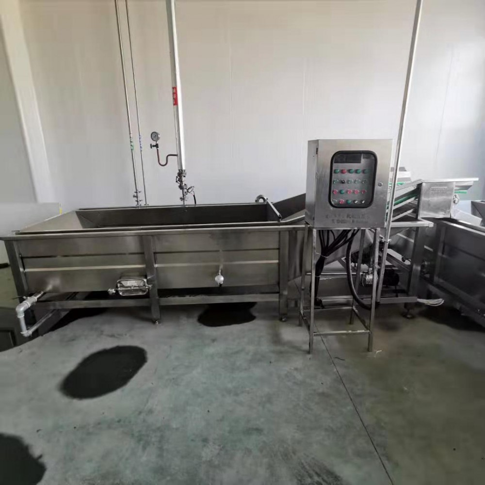 果蔬清洗机 辣椒清洗机 辣椒清洗线 不锈钢清洗机
