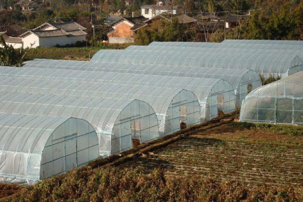 江苏蔬菜大棚承建    蔬菜大棚建造商  蔬菜大棚价格