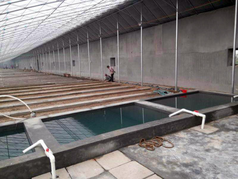 山东日光温室蔬菜大棚 日光温室大棚建造团队