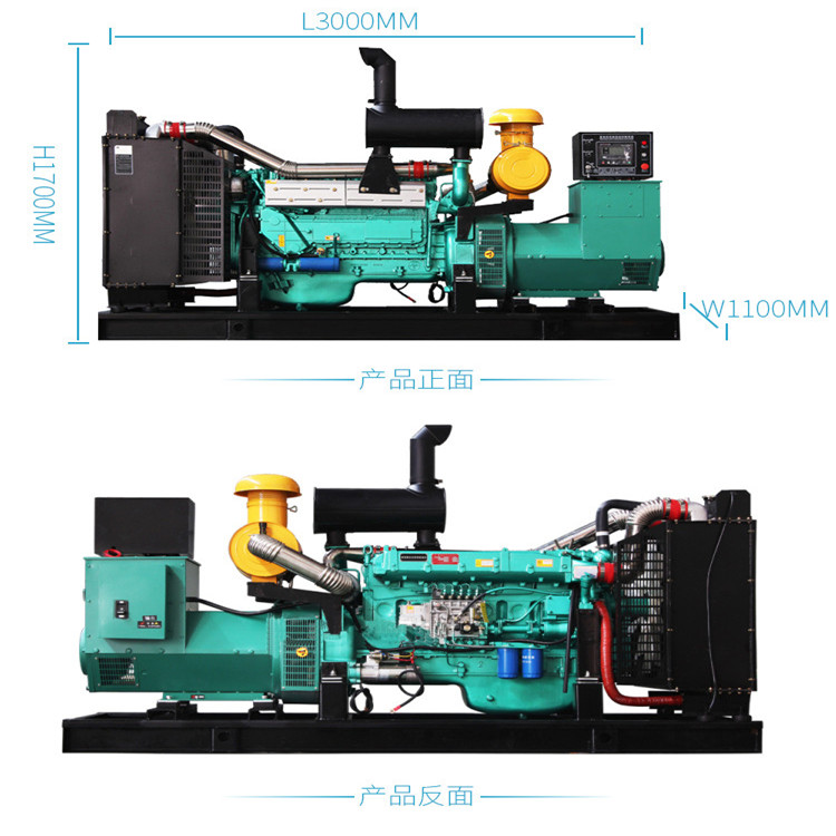 250kw柴油发电机组纯铜无刷柴油发电机组250kw永能动力柴油发电机组250kw常柴