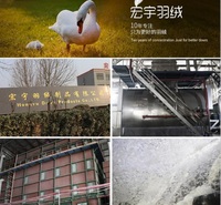 六<em>安</em>加工生产大朵白羽绒轻盈