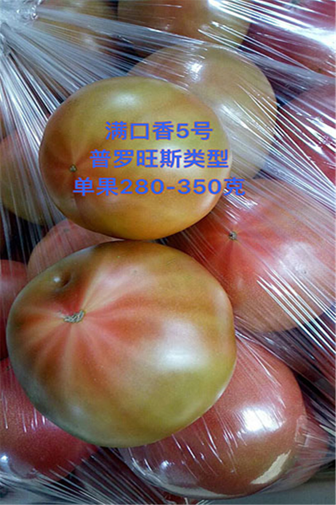 普罗旺斯类型番茄种子 多心室西红柿种子多筋黄金线番茄种子 圣尼斯 德奥特西红柿