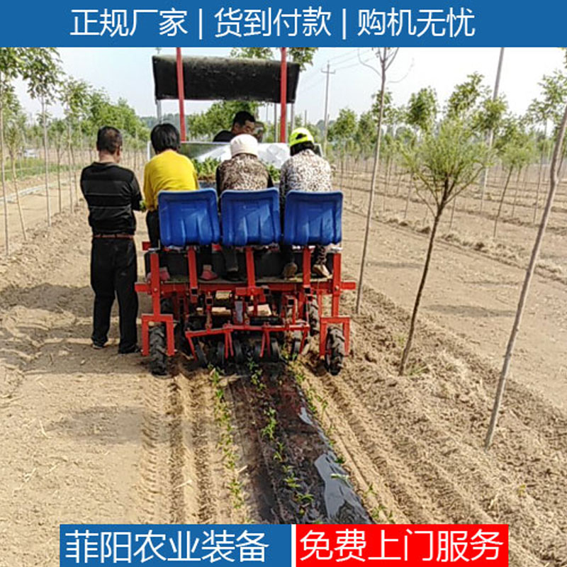 移栽机万寿菊栽苗机
