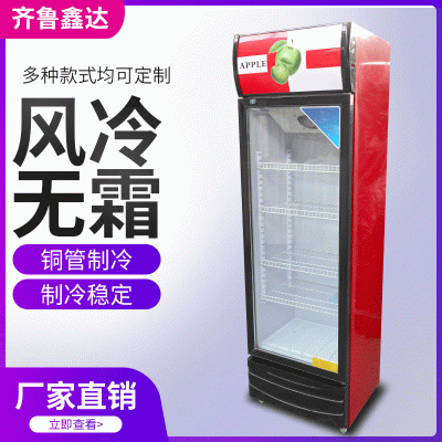 单门啤酒柜 商用立式饮料柜 玻璃门展示柜