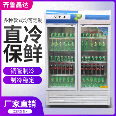 定制饮料柜 双门啤酒柜 冷藏保鲜展示柜厂家直销