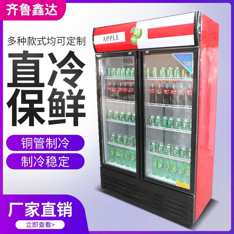单门 双门啤酒柜 保鲜展示柜 立式商用饮料柜厂家