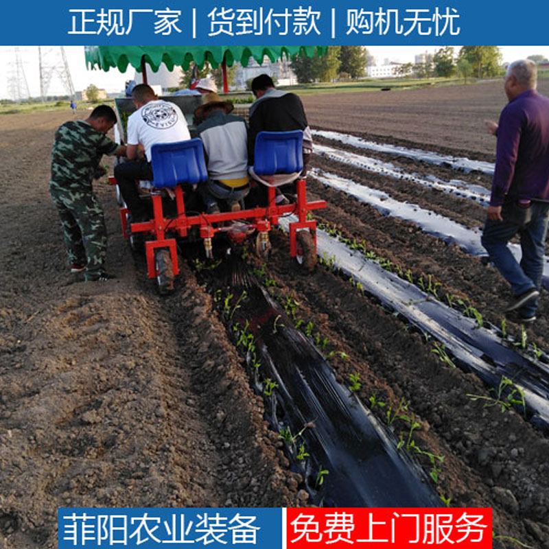 移栽机上海青栽苗机