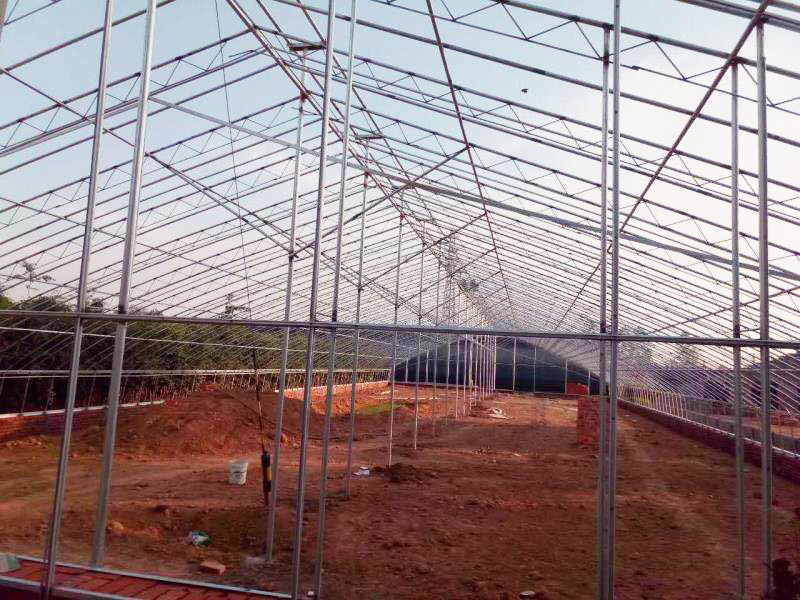 日光温室大棚_金江农业科技 智能温室建设