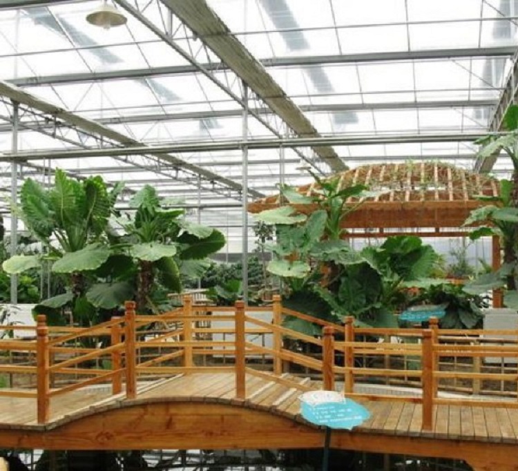 山东生态餐厅建造商 团队技术优 生态餐厅承接