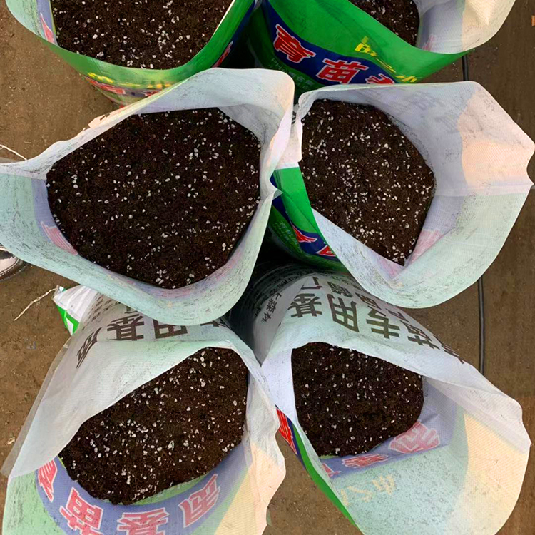 基质土厂家供应 无土栽培种植土供应 营养土 有机质无土栽培厂家